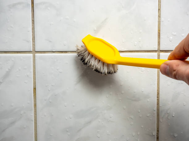 Mold Testing and Removal in Clancy, MT