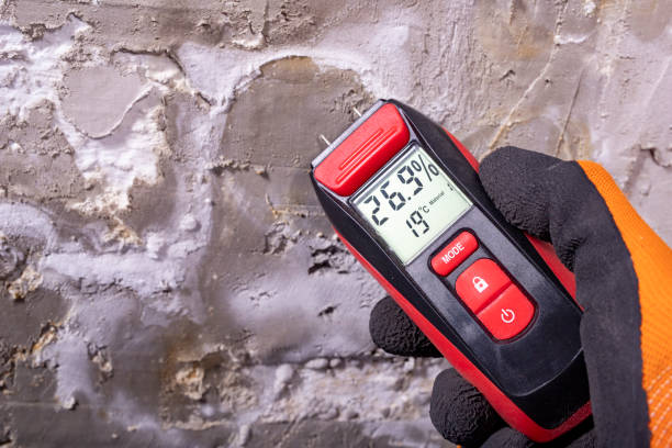 Best Local Mold Removal Service  in Clancy, MT